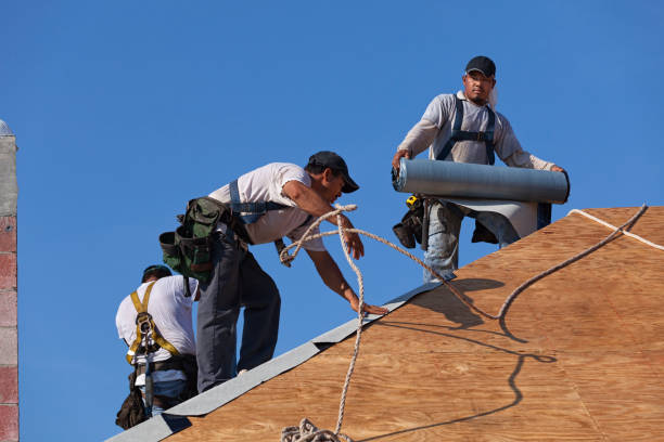 Best Gutter Installation and Roofing  in Canyon Day, AZ