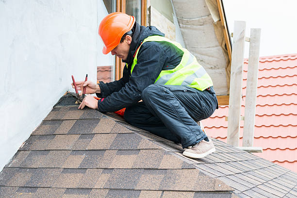 Best Roof Maintenance Services  in Canyon Day, AZ
